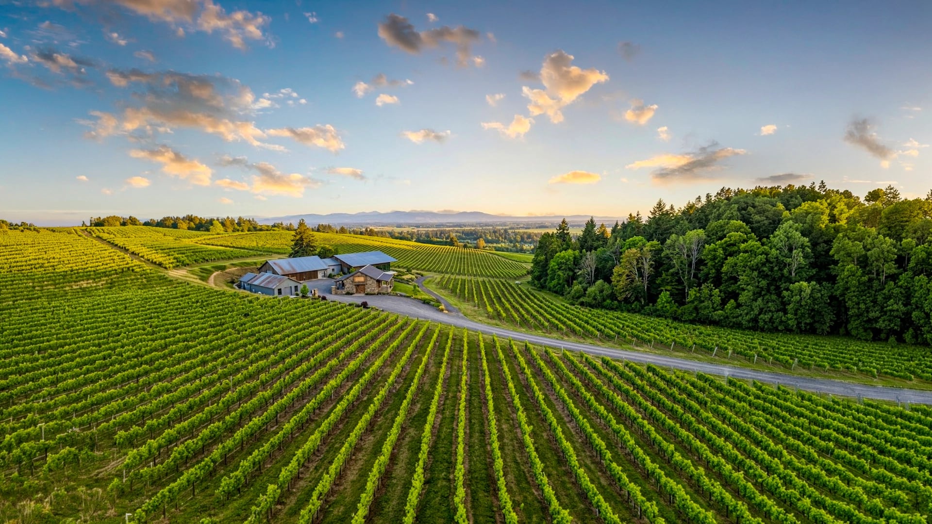 KEF Van wine tour experience